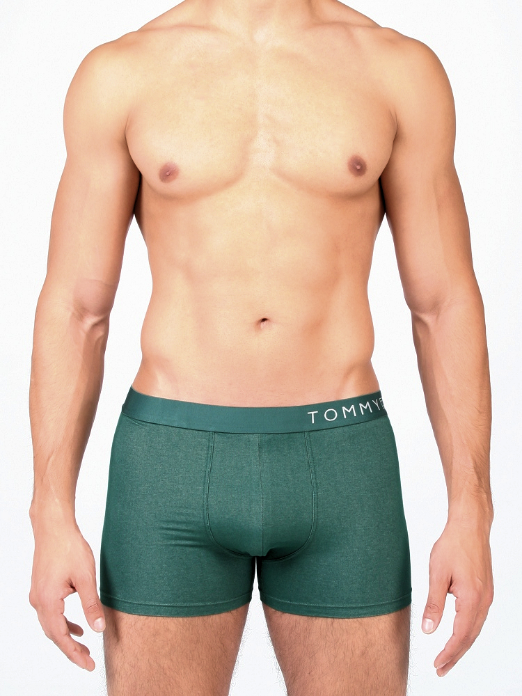 tommy hilfiger underwear trunks