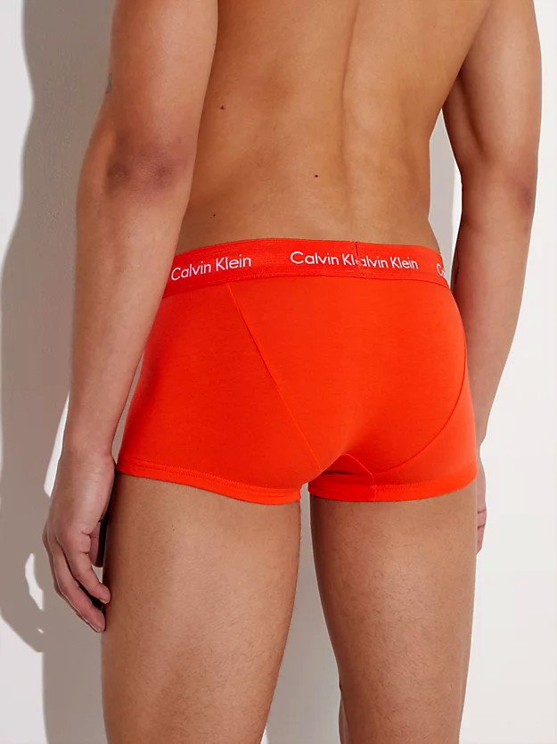Calvin Klein Low Rise Trunk 5 Pack Pride Nb1348A BNG Multi 4