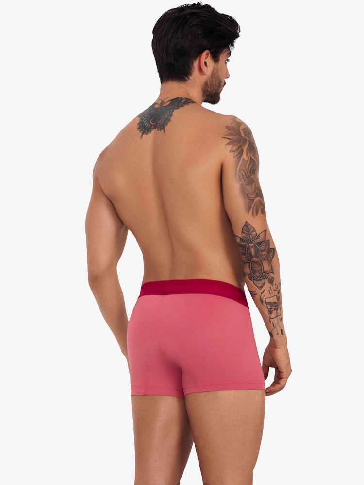 Clever Underwear Fervor Boxer 1235 Light Red 2