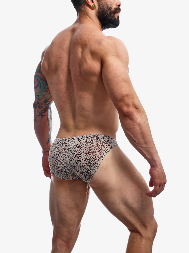 Joe Snyder Bulge Bikini Full Jsbul04 Tiger 1