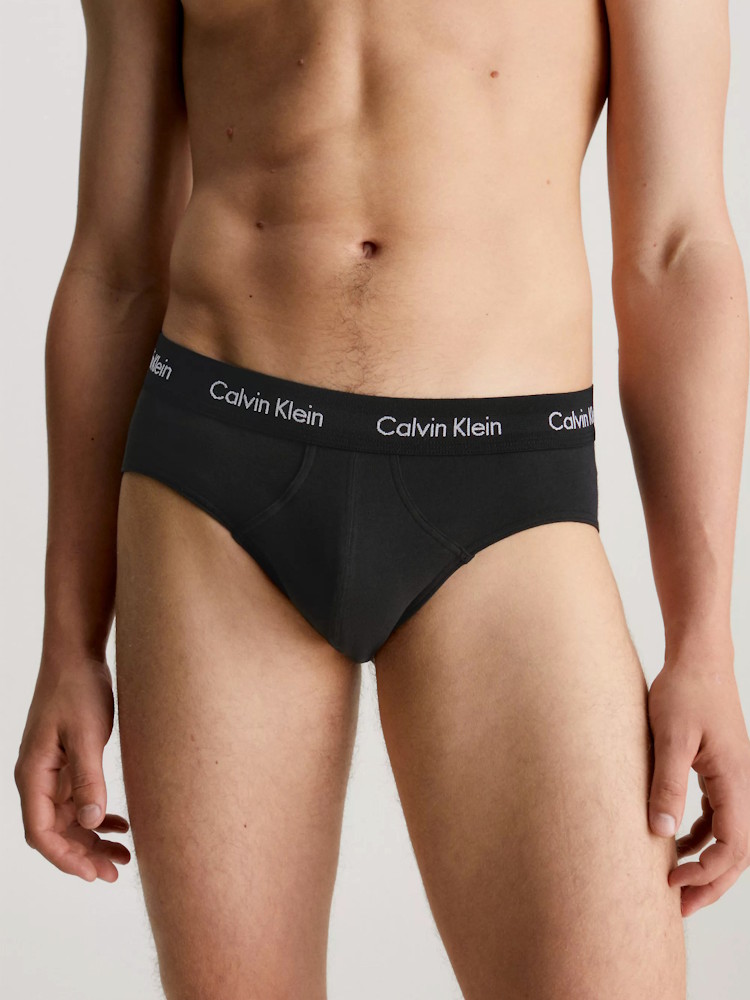 Calvin Klein Hip Brief 3 Pack U2661g H54 Tawny Port 2