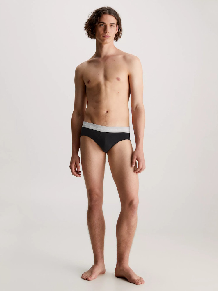 Calvin Klein Hip Brief 3 Pack U2661g H54 Tawny Port 5