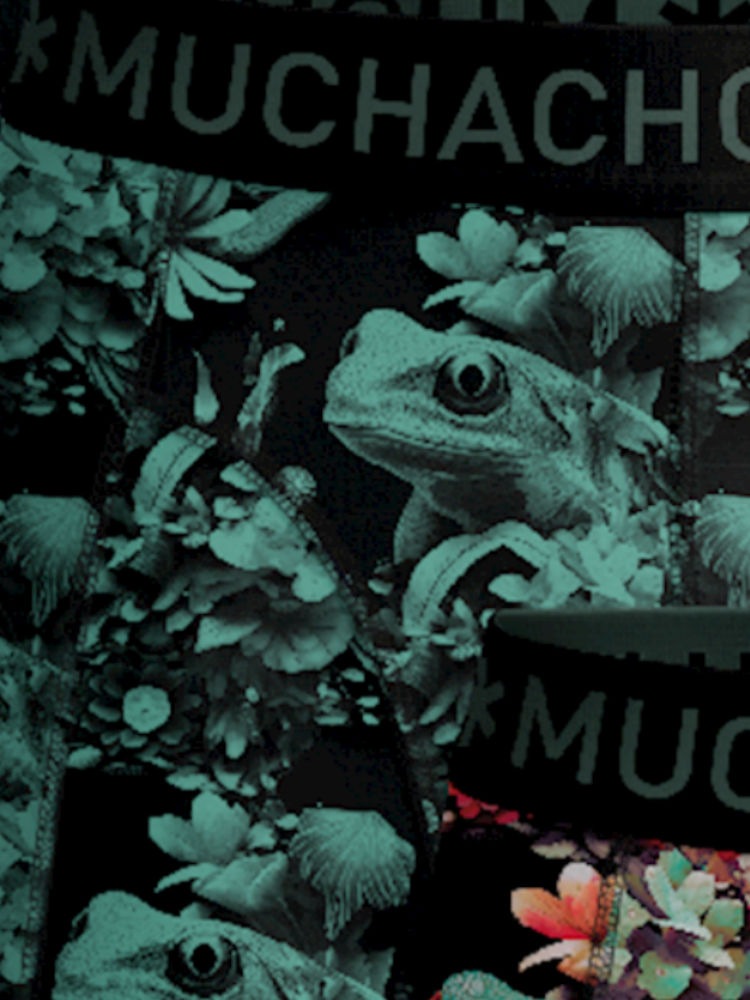 Muchachomalo Boxer Shorts Poison Frog 3 Pack