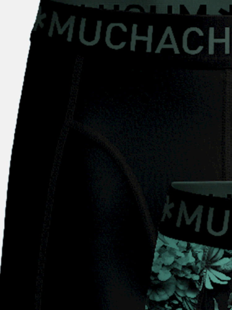 Muchachomalo Boxer Shorts Poison Frog 3 Pack