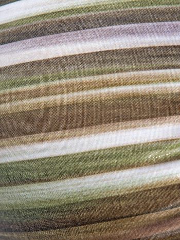 Es Collection Un636 Wetlands Bikini Brief Khaky 3