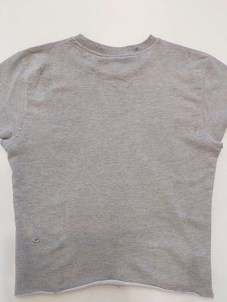 Everlast Cropped Sweatshirt Heather Grey 2