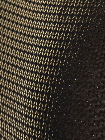 Es Collection Un634 Radiant Gold Bikini Brief Black 2