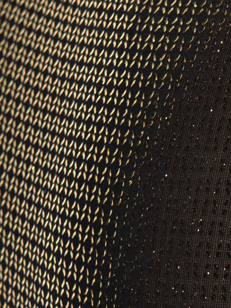 Es Collection Un634 Radiant Gold Bikini Brief Black 2