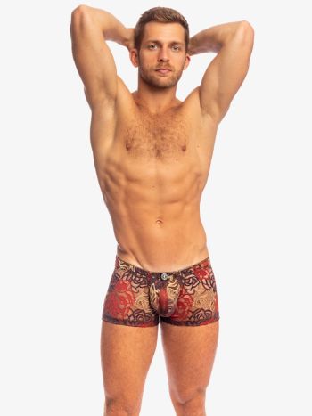 L'homme Invisible Jardin Enchanté Shorty Push Up MY14 1