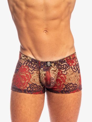 L'homme Invisible Jardin Enchanté Shorty Push Up MY14 5
