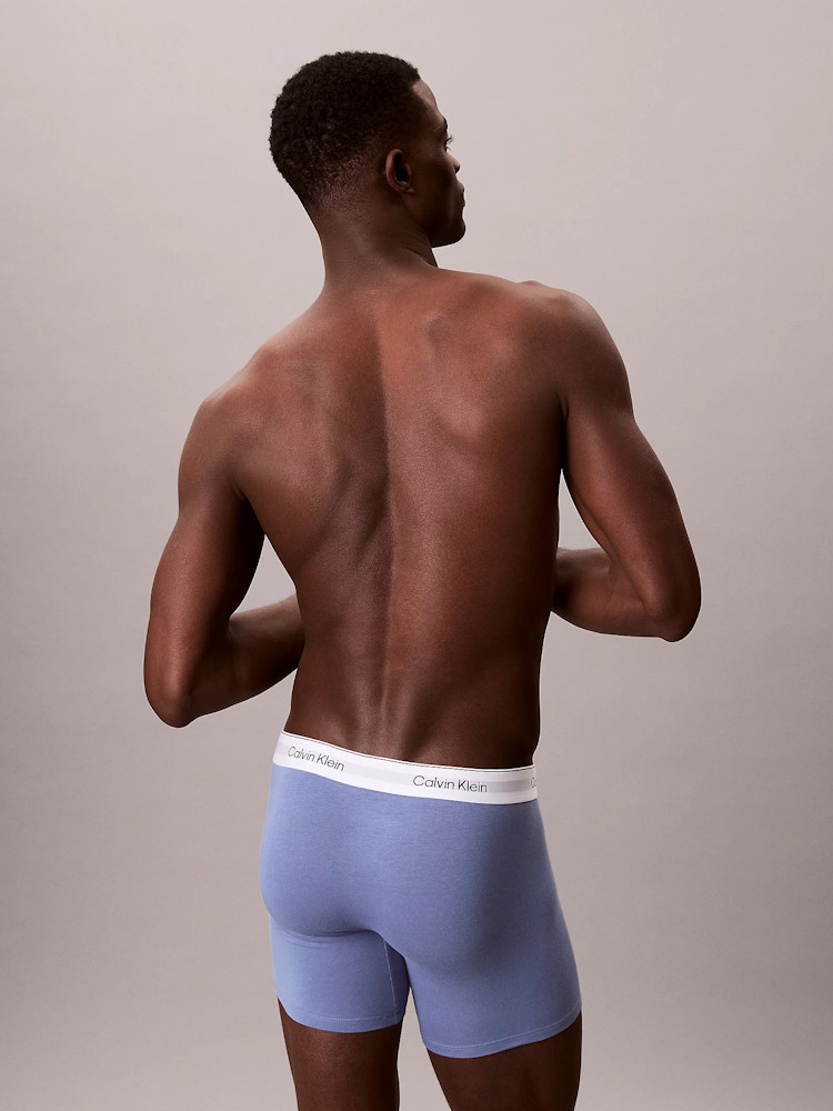 Calvin Klein Icon Cotton Stretch Boxer Brief 3 Pack Lv00nb4394 4nc Blue Tulip 3