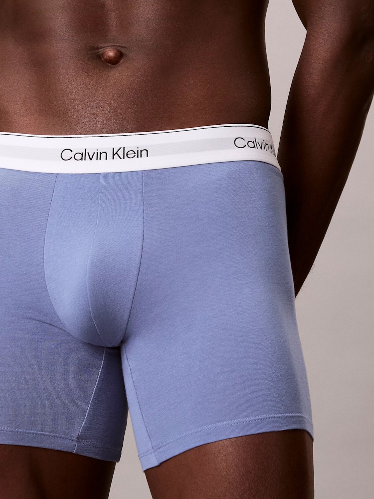 Calvin Klein Icon Cotton Stretch Boxer Brief 3 Pack Lv00nb4394 4nc Blue Tulip 4