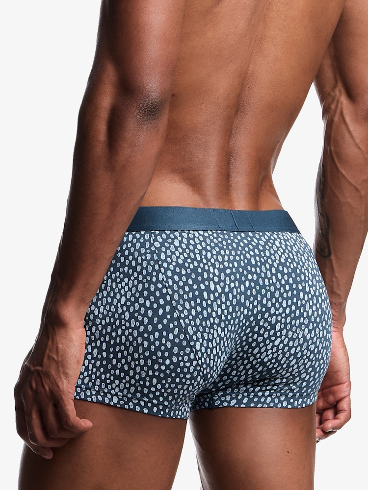 Emporio Armani Underwear Trunk 2 Pack Stretch Cotton EM001014 Blue