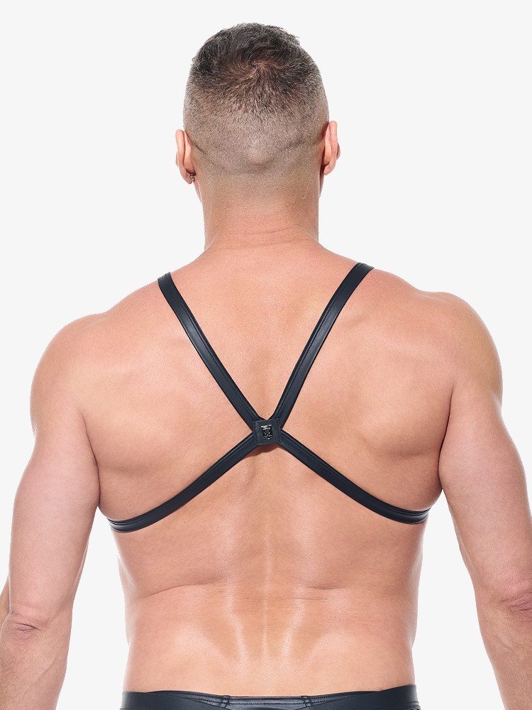 Gregg Homme Afterlight Harness 220960 Black