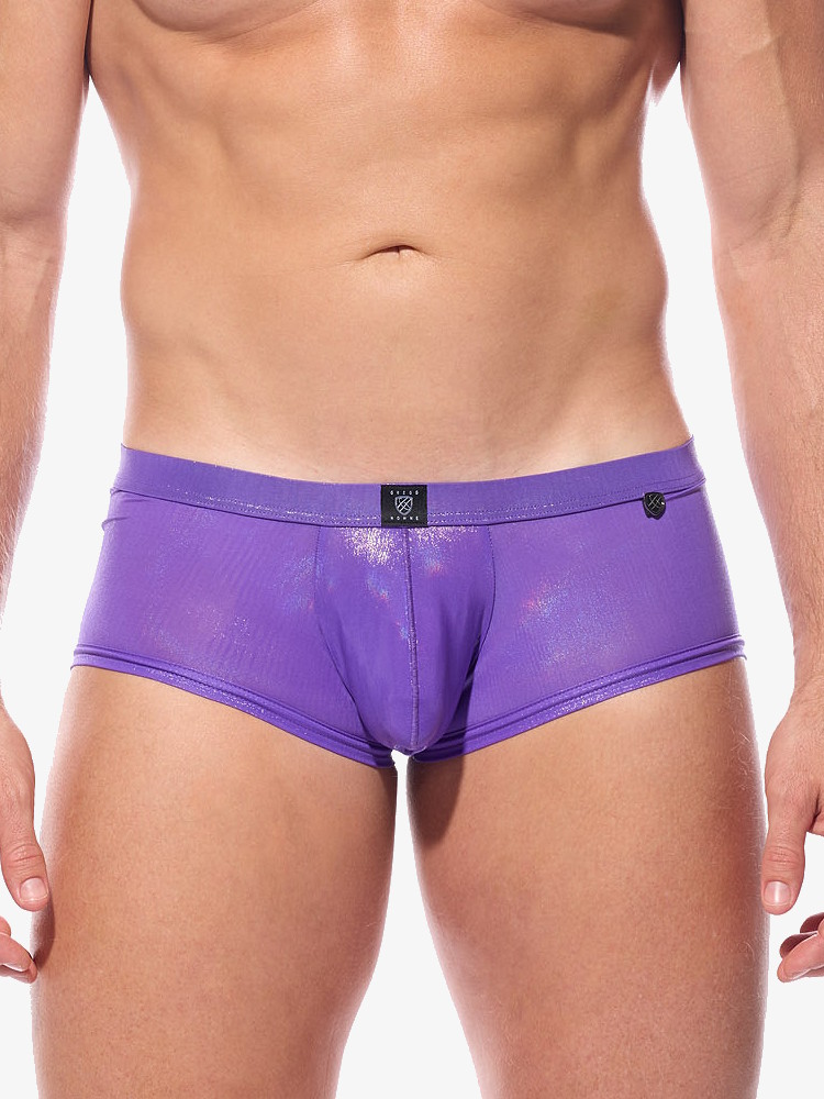 Gregg Homme Boytoy Voltz Boxer Brief 210305 Purple