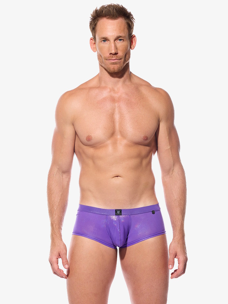 Gregg Homme Boytoy Voltz Boxer Brief 210305 Purple