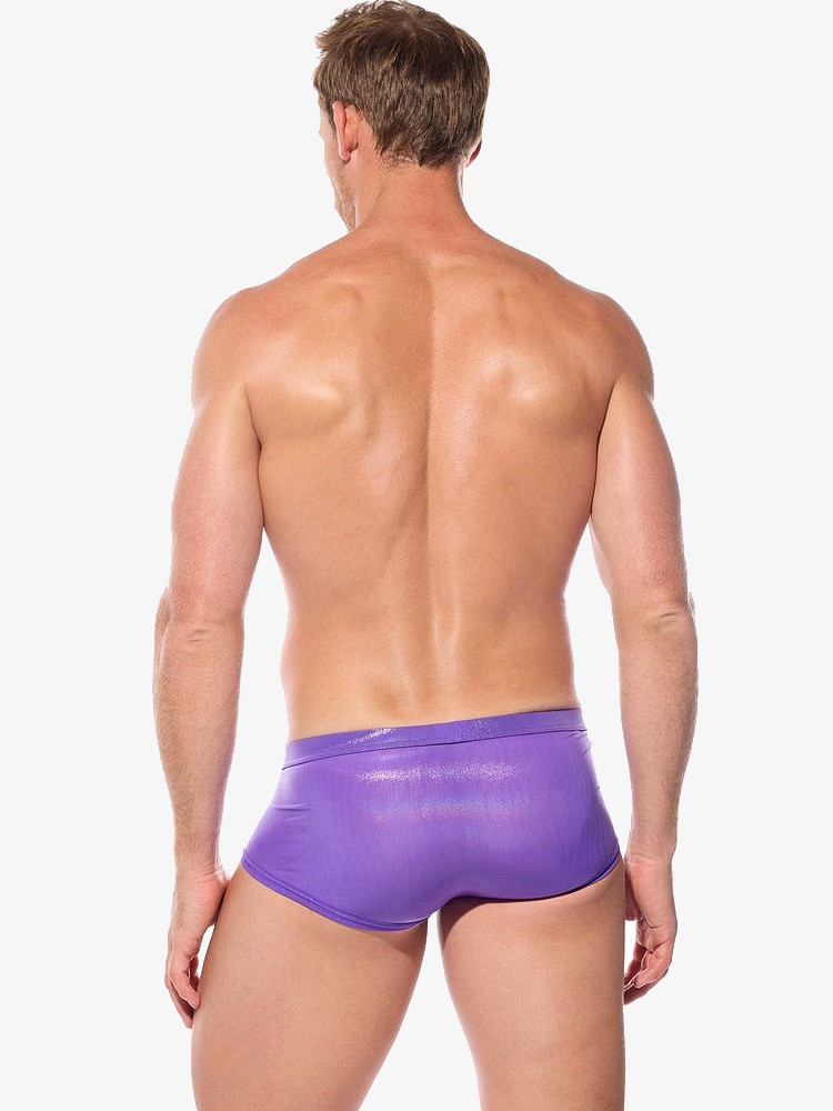 Gregg Homme Boytoy Voltz Boxer Brief 210305 Purple