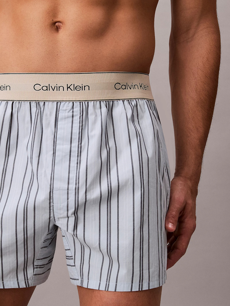 Calvin Klein Boxershorts Trad Lv00nb2945 4xw Majorca Stripe Breezy Blue 3