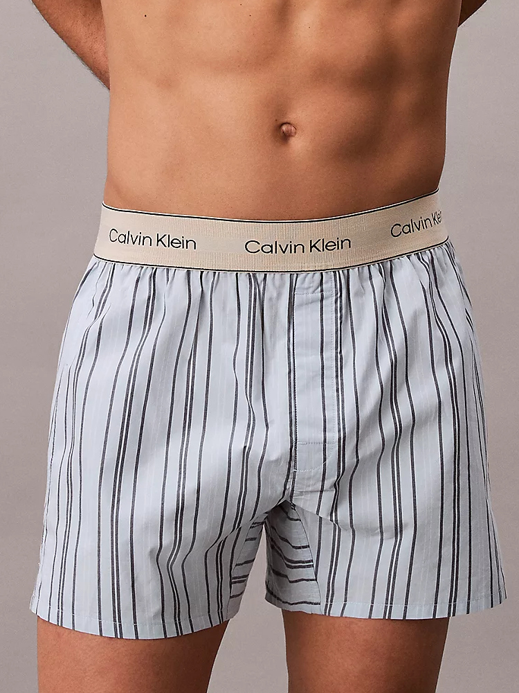 Calvin Klein Boxershorts Trad Lv00nb2945 4xw Majorca Stripe Breezy Blue 5