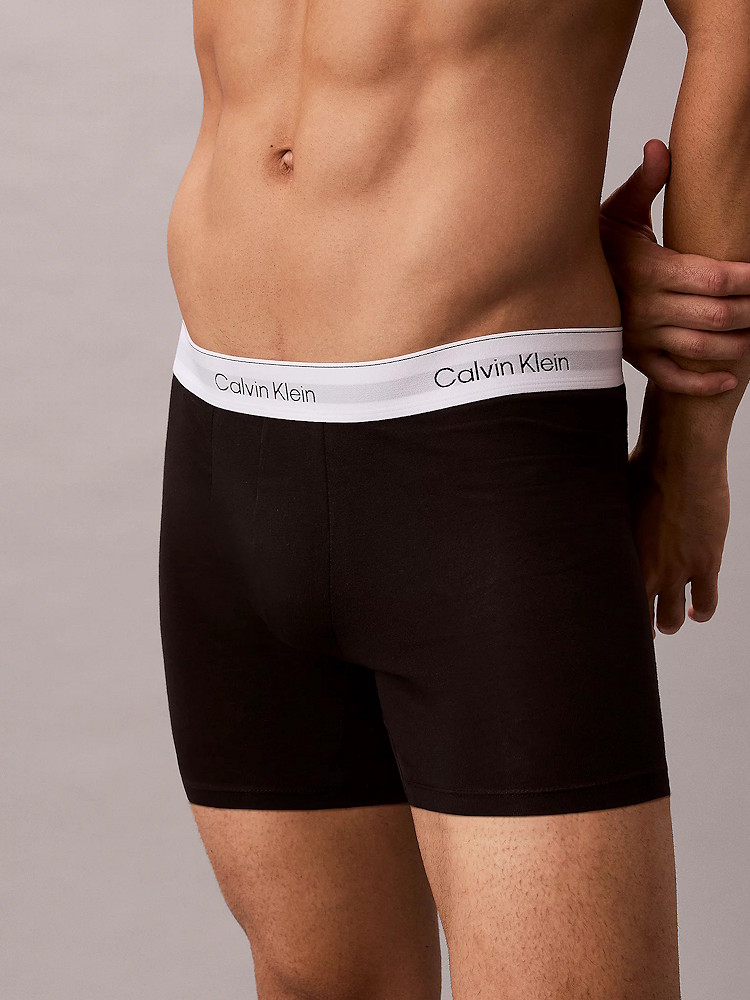 Calvin Klein Icon Cotton Stretch Boxer Brief 3 Pack Lv00nb4394 40M Pulse Stripe 3