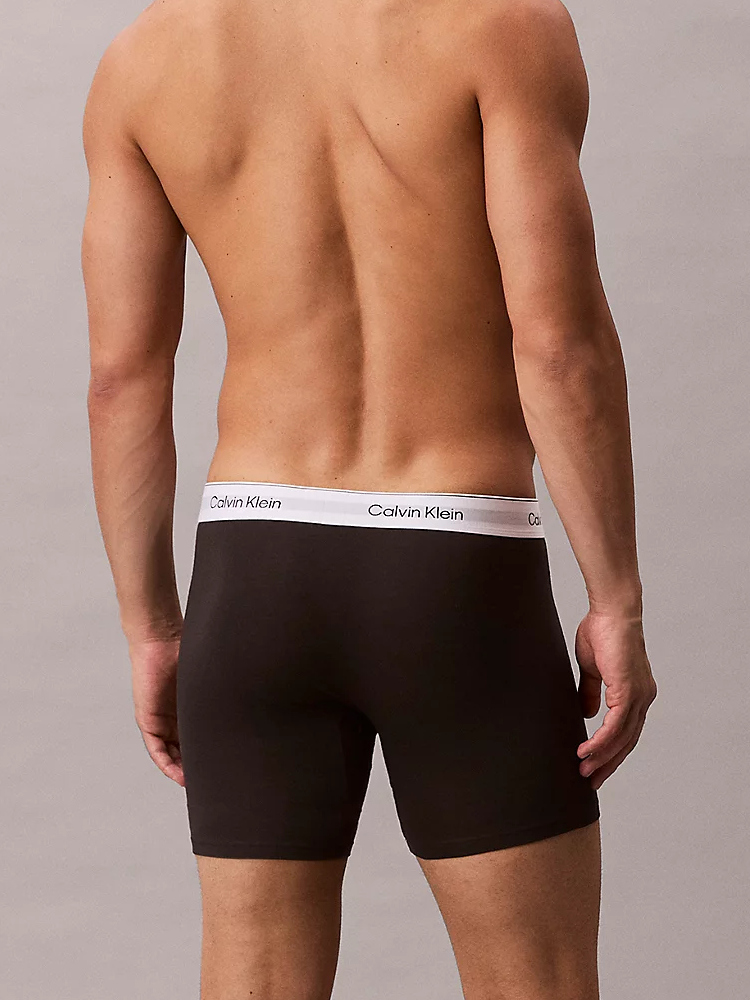 Calvin Klein Icon Cotton Stretch Boxer Brief 3 Pack Lv00nb4394 40M Pulse Stripe 4