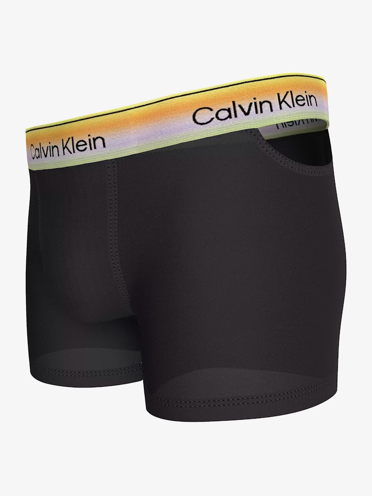 Calvin Klein Icon Mesh Low Rise Trunk Lv00nb4595 Ub1 Black 3