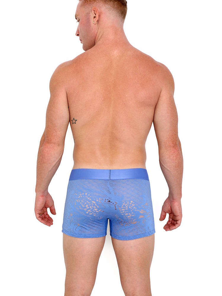 Skull Bones Dragon Burnout Periwinkle Trunk 2