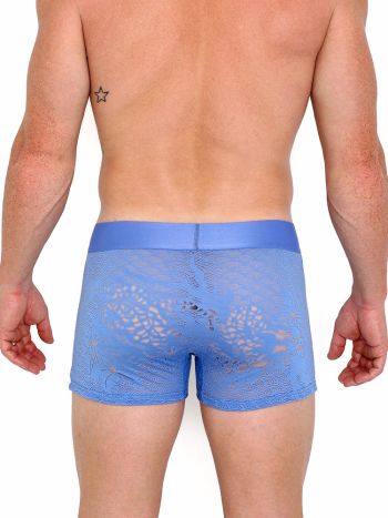 Skull Bones Dragon Burnout Periwinkle Trunk 3