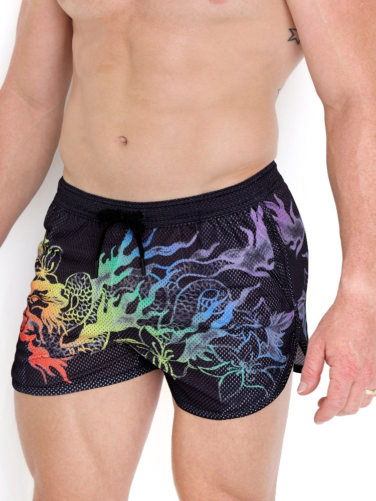 Skull Bones Ombre Japanese Dragon Mesh Short
