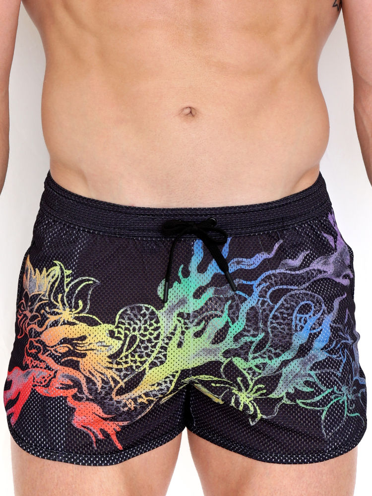 Skull Bones Ombre Japanese Dragon Mesh Short