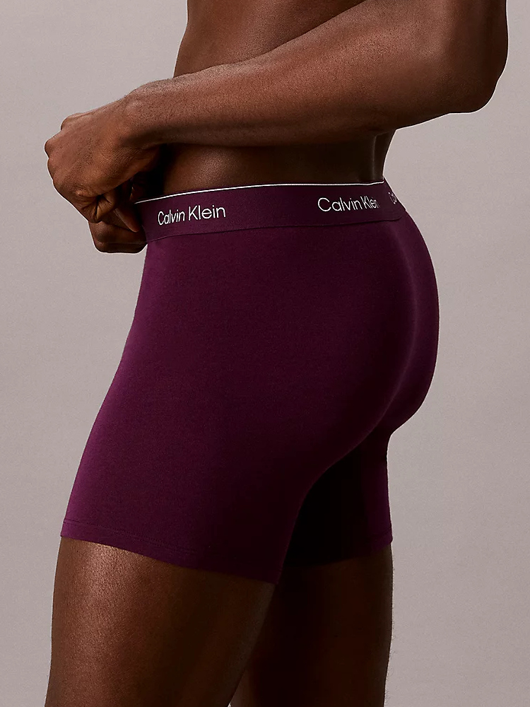 Calvin Klein 5 Pack Boxer Briefs Icon Cotton Stretch Lv00nb4395 4mm Dark Purple 3