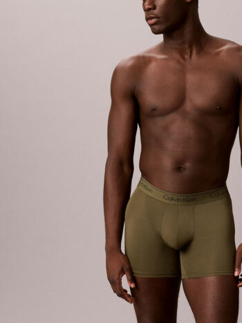 Calvin Klein Microfiber Stretch 3 Pack Boxer Briefs Lv00nb4410 4u9 Bronze 4