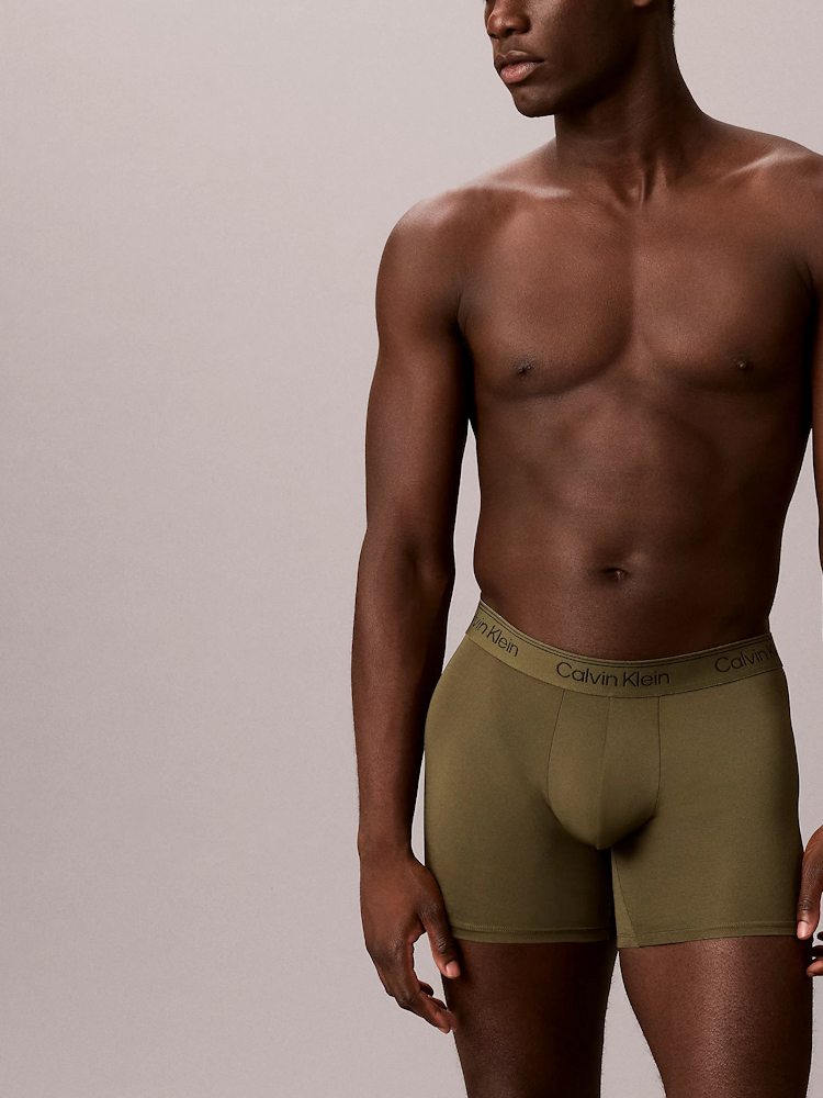 Calvin Klein Microfiber Stretch 3 Pack Boxer Briefs Lv00nb4410 4u9 Bronze 4